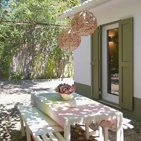 Holiday home Vumba - The House Of The Lizard