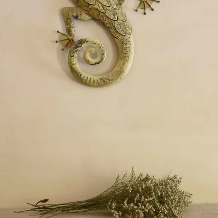 Holiday home Vumba - The House Of The Lizard *