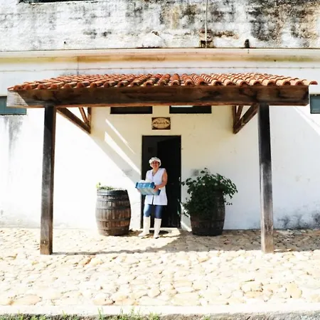 Holiday home Vumba - The House Of The Lizard Sao Martinho da Cortica